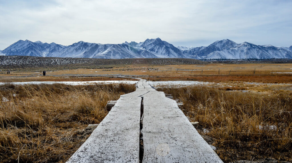 Integrity Character Hero